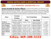 Indian Astrologer & Spiritual Healer image 8